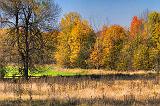 Autumn Landscape_17521